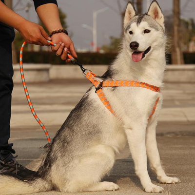 Wholesale Adjustable Gentle Pet Traction Lead Vest Multicolor Comfortable Dog Chest Harness Leash Customized Logo 