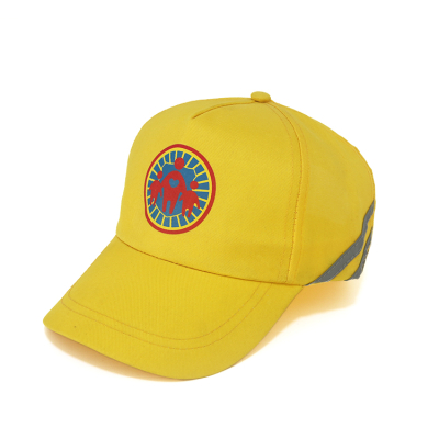 Custom Logo Printed Caps Cotton Baseball Cap 