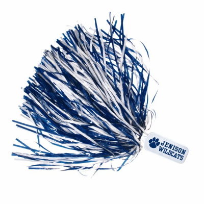 Custom LOGO Team Party Dance Cheerleading Sports Spirited Plastic Paddle Handle Cheer Pom Poms 