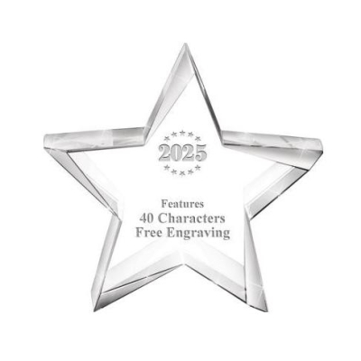 Acrylic Crystal Star Award Plaques Rising Blue Star Recognition Award Personalized Lucite Award Achievement Traophy Gift 