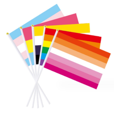Fast Delivery Event Festival Activity LGBT Rainbow Hand Held Flag Custom Hand Flag of Pride