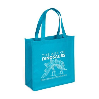 Professional Design and Production Recycled Custom Nonwoven Shopping Bag 